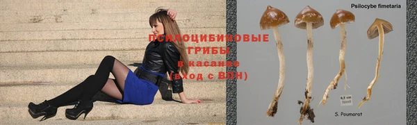 гидропоника Новокубанск