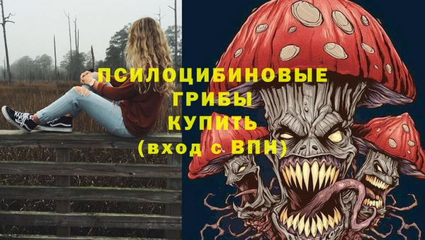 марки nbome Няндома