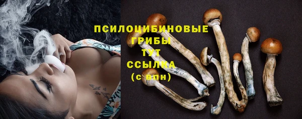 mdma Новодвинск