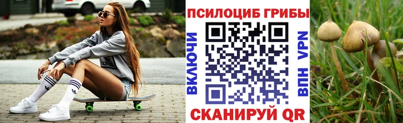 купить наркотики сайты  Алзамай  shop как зайти  Псилоцибиновые грибы Psilocybine cubensis 